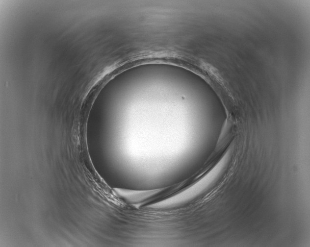 X0000078891165200611271345