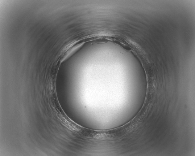 X0000078891169200611271345