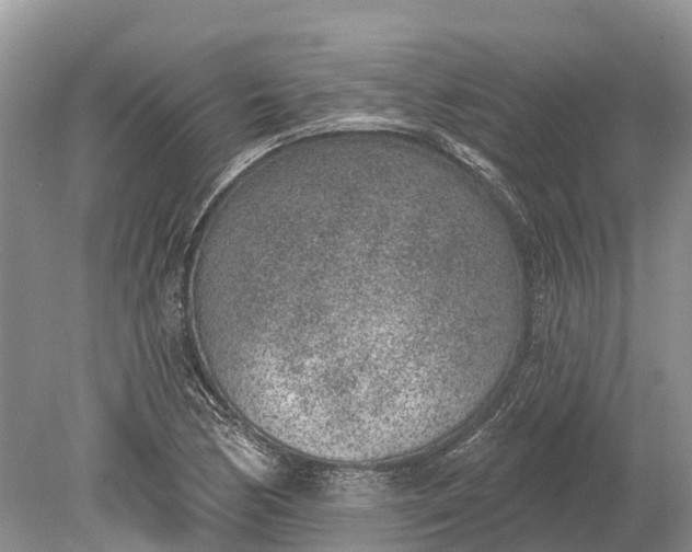 X0000078891170200611271345