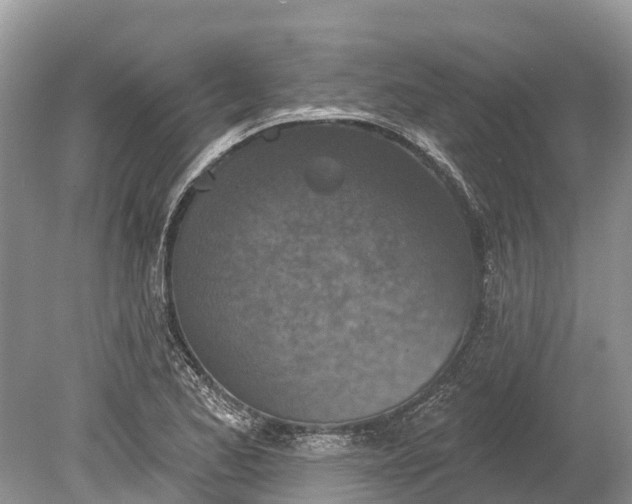 X0000078891173200611271345