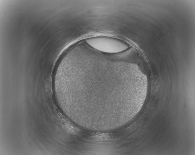 X0000078891174200611271345