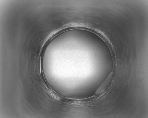 X0000078891175200611271345