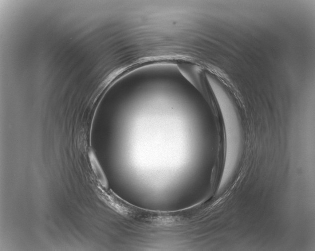 X0000078891177200611271345