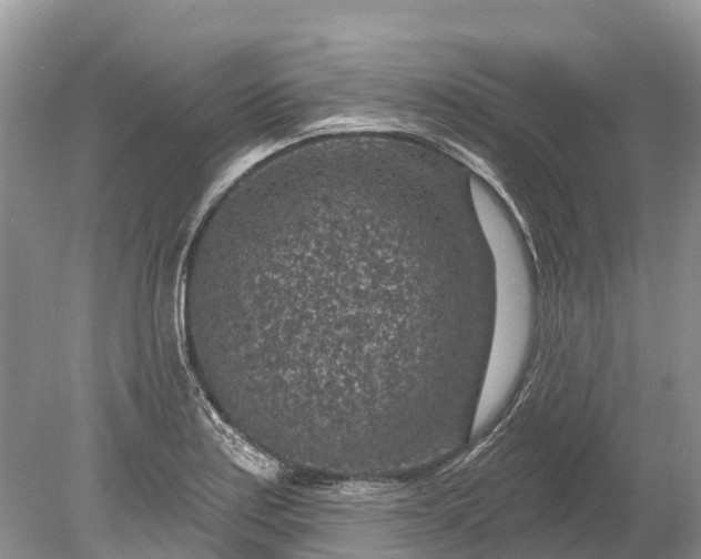 X0000078891179200611271345