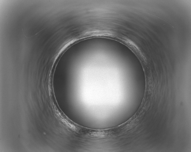 X0000078891182200611271345