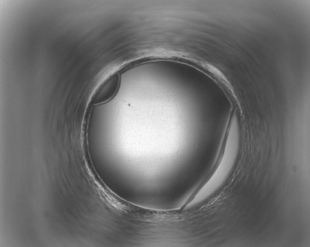 X0000078891183200611271345