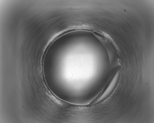 X0000078891184200611271345