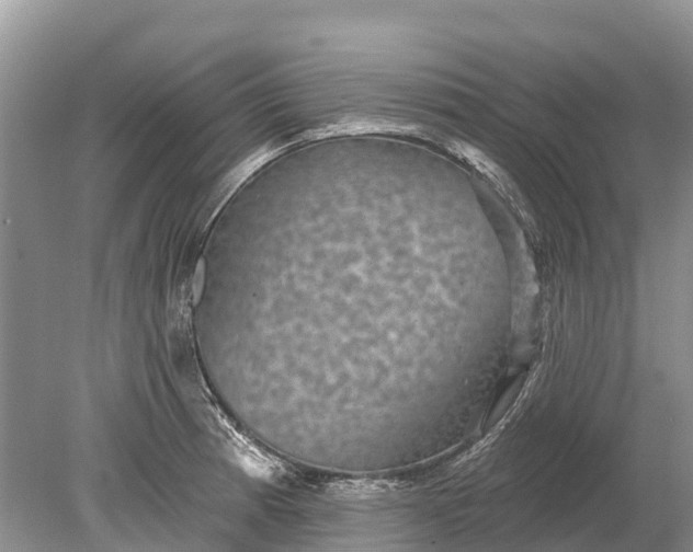 X0000078891185200611271345