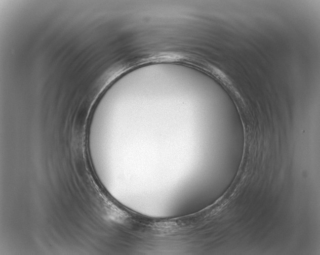 X0000078891186200611271345