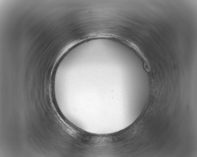 X0000078891187200611271345