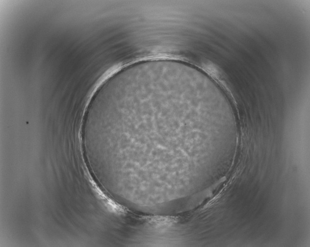 X0000078891189200611271345