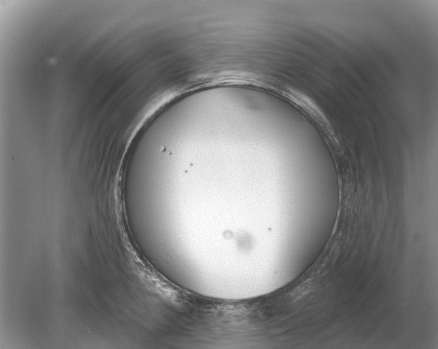 X0000078891190200611271345