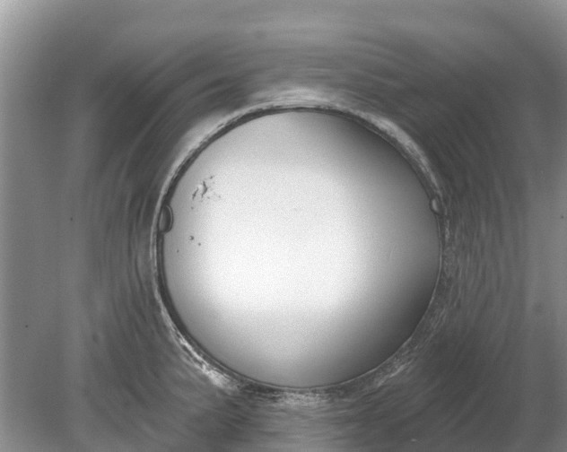 X0000078891191200611271345