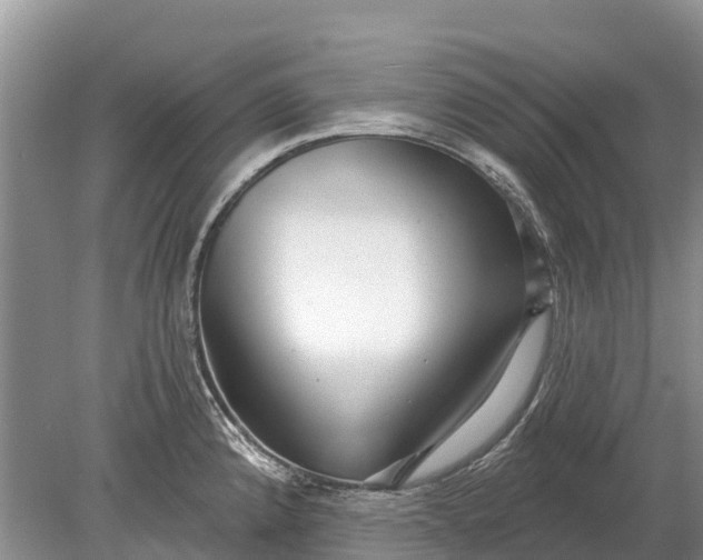 X0000078891192200611271345