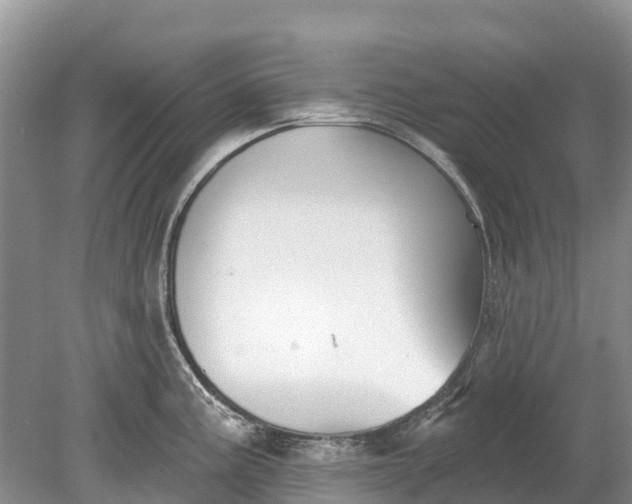 X0000078891195200611271345