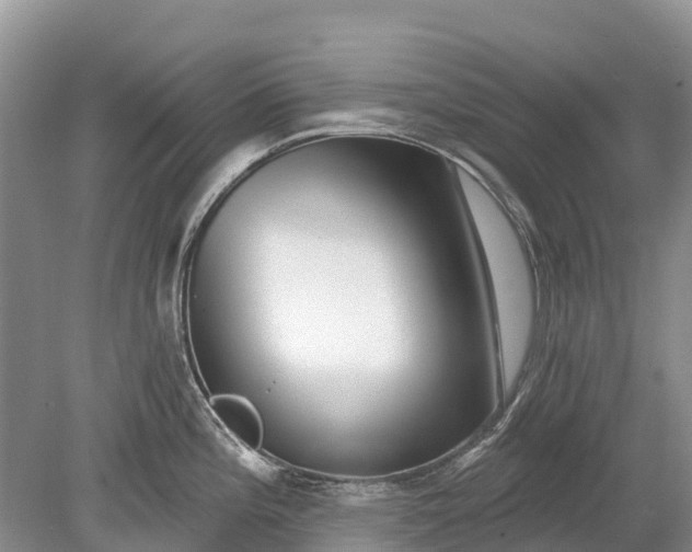 X0000078891196200611271344