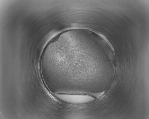 X0000078891197200611271344