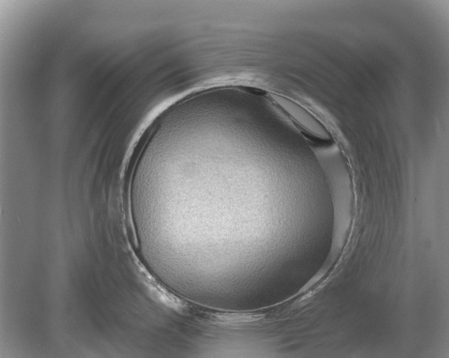 X0000078891200200611271344