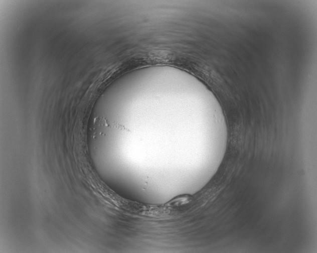 X0000078891201200611271344