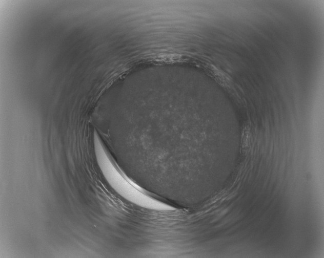 X0000078891202200611271344