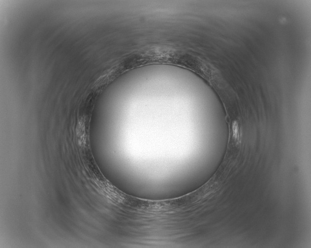 X0000078891203200611271344