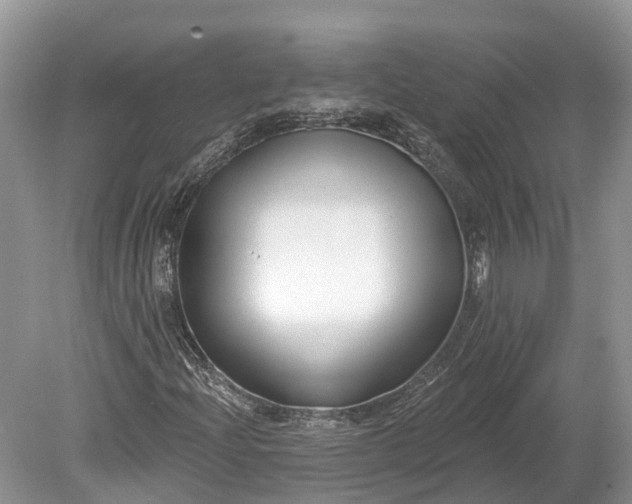 X0000078891204200611271344