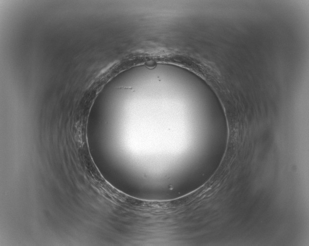 X0000078891205200611271344