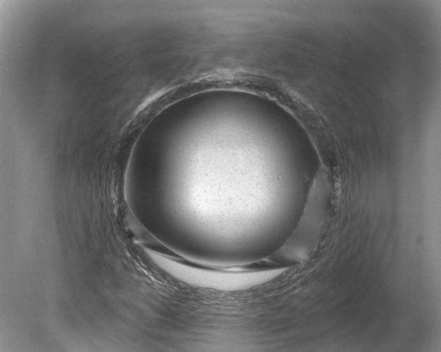 X0000078891206200611271344