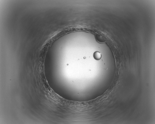 X0000078891207200611271344