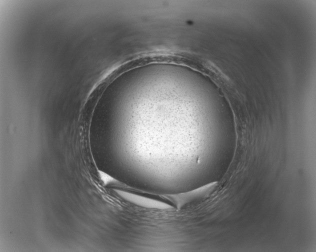 X0000078891208200611271344