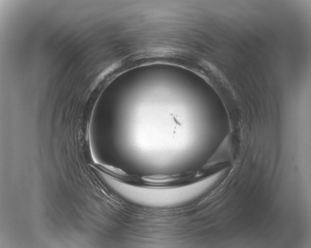 X0000078891210200611271344