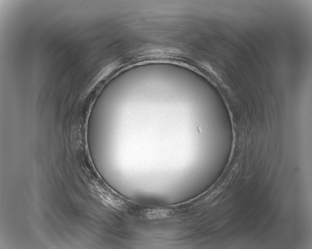 X0000078891211200611271344