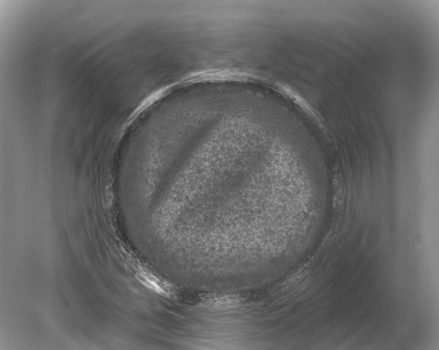 X0000078891213200611271344