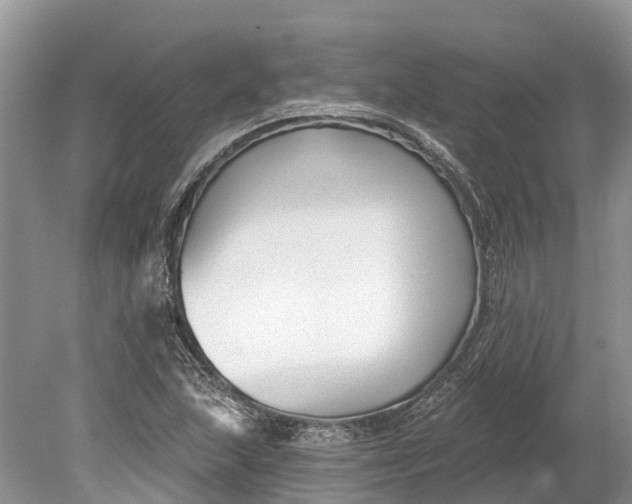 X0000078891215200611271344