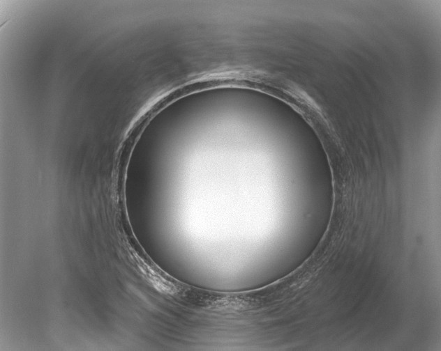 X0000078891216200611271344