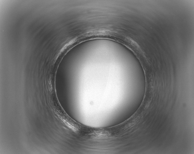 X0000078891218200611271344