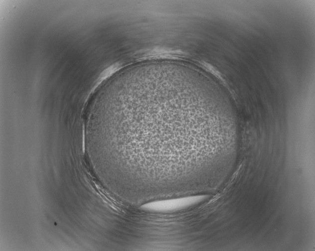 X0000078891219200611271344