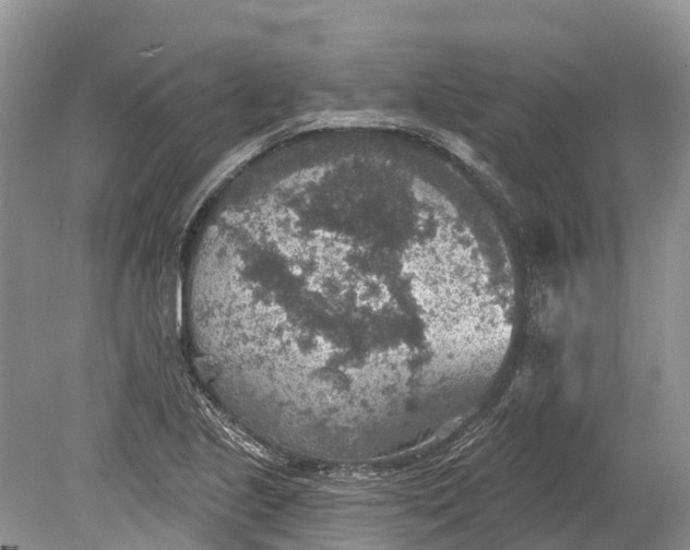 X0000078891221200611271344