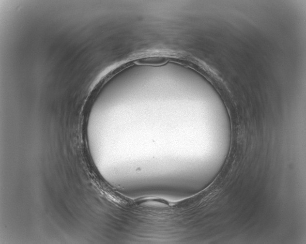 X0000078891222200611271344