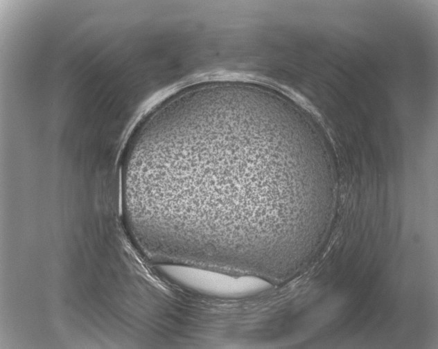 X0000078891223200611271344