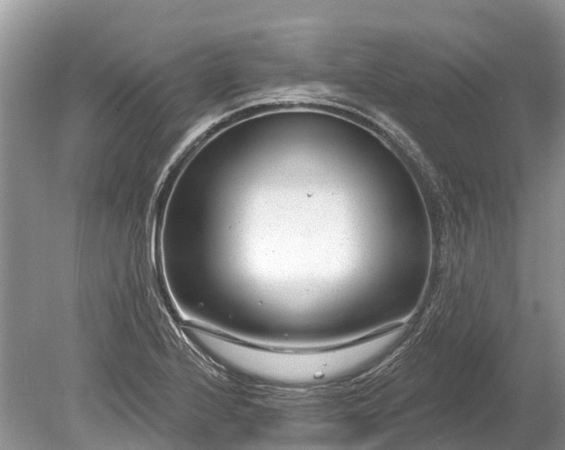 X0000078891224200611271344