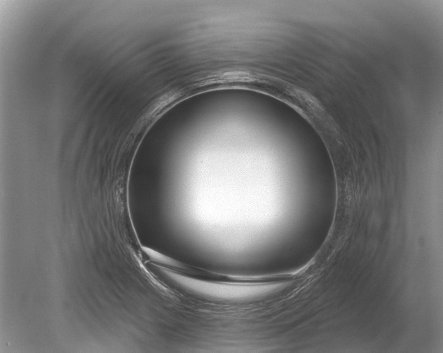 X0000078891225200611271344