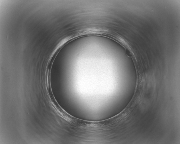 X0000078891227200611271344