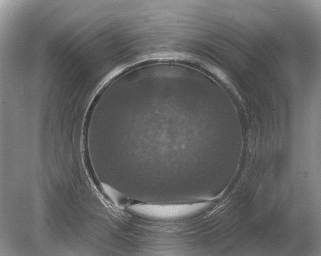 X0000078891229200611271344