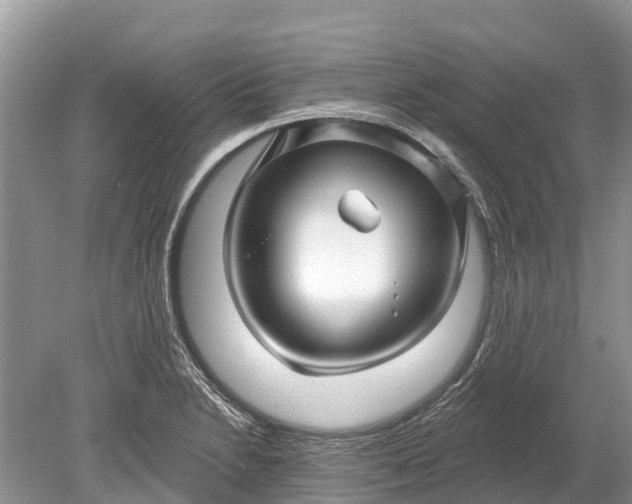 X0000078891230200611271344