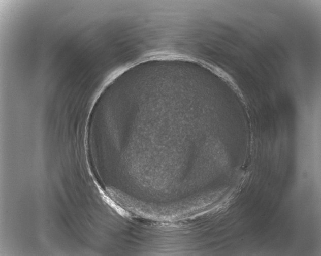 X0000078891231200611271344