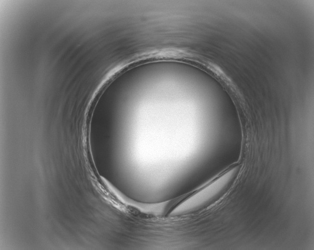 X0000078891232200611271344