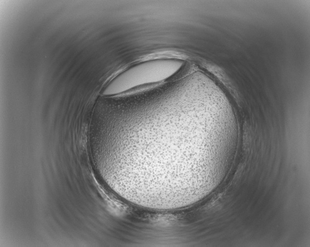 X0000078891233200611271344