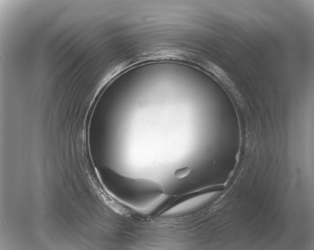 X0000078891234200611271344