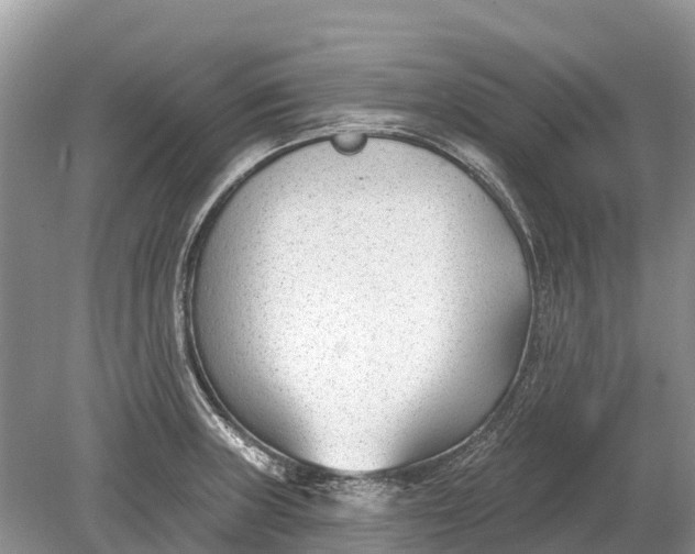 X0000078891235200611271344